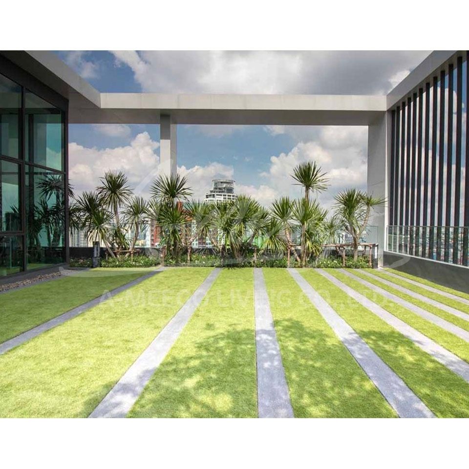 Life Sukhumvit 48 1bdr/1bth/30Sqm/23Flr